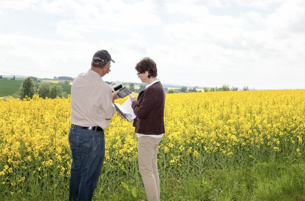 People looking at a field